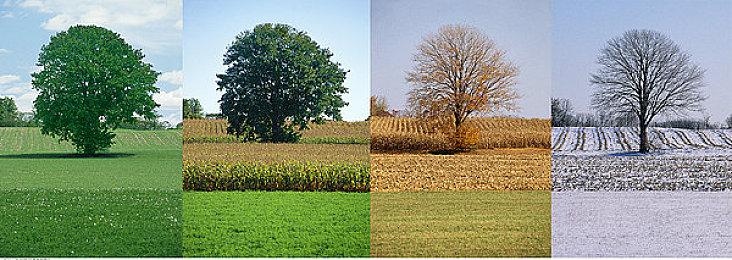 《战地2042》2.1更新明日上线 重做埃及涅槃地图