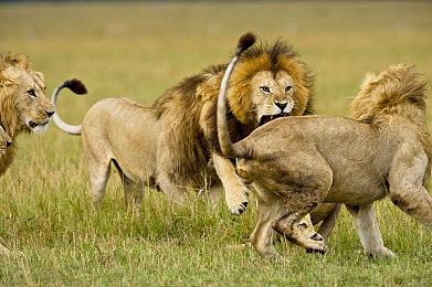 《漫威争锋》第一赛季发布后 所有Mod似乎均已失效