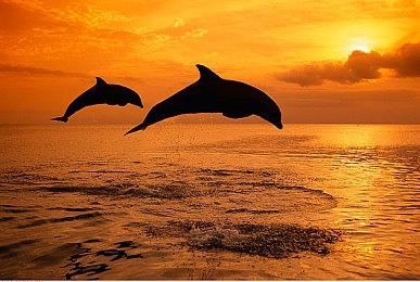 网飞《鱿鱼游戏》剧改多人游戏将于2024年内发布