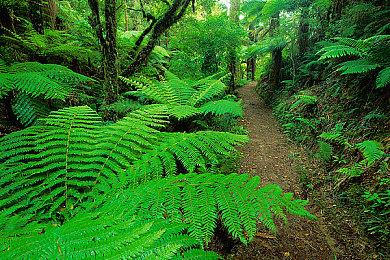 利润超1000％！任天堂《宝可梦》系列制作成本与收入泄露