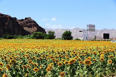 轻松简明！极简主义物流游戏《规划大师》即将发售，首周九折